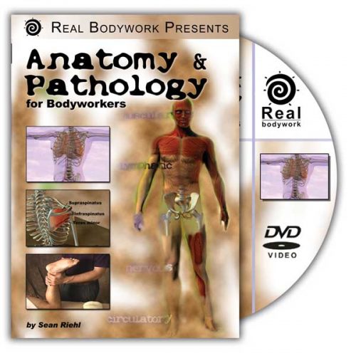 Anatomy & Pathology for Bodyworkers