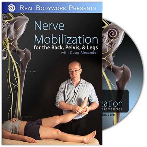 Nerve Mobilization for the Back, Pelvis & Leg