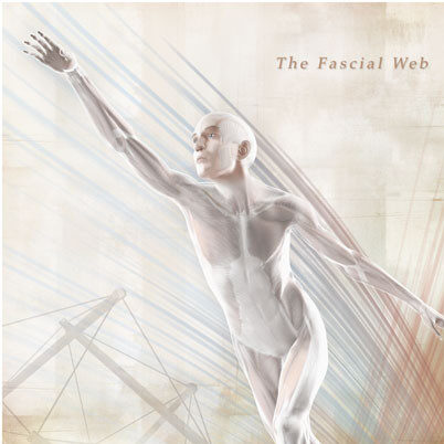 The Fascial Web Poster A