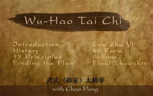 Wu Hao Tai Chi