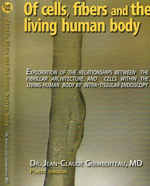 Of Cells, Fibers and the Living Human Body