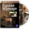 Equine Massage for Performance Horses