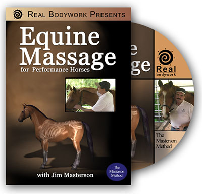 Equine Massage for Performance Horses
