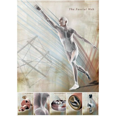 The Fascial Web Poster C