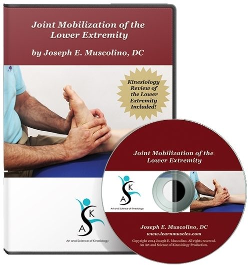 Joint Mobilization of the Lower Extremity
