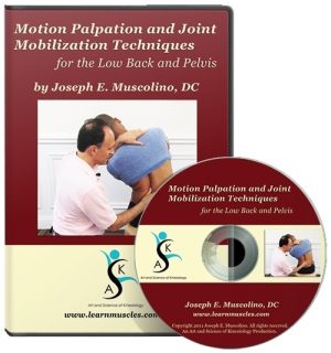 Motion Palpation Assessment and Joint Mobilization Treatment Techniques for the Low Back & Pelvis