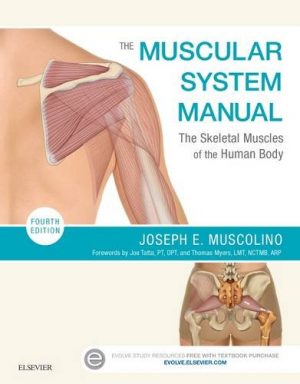 The Muscular System Manual : The Skeletal Muscles of the Human Body (4th Ed)