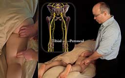 Nerve Mobilization for the Upper & Lower Body