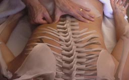 Deep Tissue - Neuromuscular Therapy: The Torso