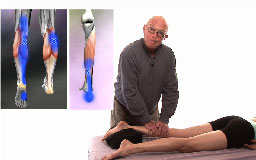 Orthopedic Assessment for the Upper & Lower Body