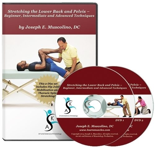 Stretching the Lower Back and Pelvis