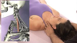 Structural Massage