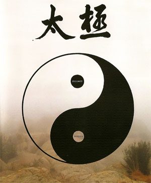 Tai Chi, Stillness through Motion